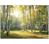 WallArena Papier peint photo intissé, Forêt, 400x280cm | Papier peint intissé de haute qualité, pour salon et chambre, revêtement mural, papier peint effet 3D - colle incluse.