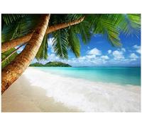 Papier Peint Panoramique Intissé Plage Mer 350x250 cm - Colle Inclus - Chambre et Salon - Moderne Papier Peint