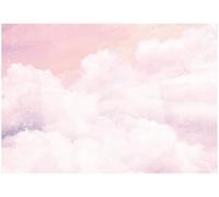 WallArena Papier peint photo intissé Nuages250x175cm