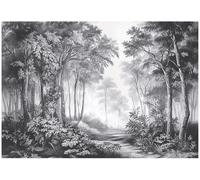 WallArena Papier peint photo intissé, Paysage, 350x250cm