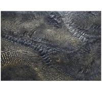 WallArena Papier peint photo non tissé Motif peau de serpent 350 x 250 cm | Papier peint photo non tissé - Effet 3D - Colle incluse - Pour salon, chambre à coucher