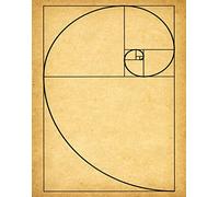 Wallbuddy Fibonacci Poster Golden Spiral Poster Mathematics Poster Maths Poster Fibonacci Series Science Poster Science Print Scientific Art WB203 (50cm x 70cm, Vintage)