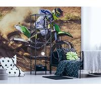 Walltastic Papier peint Motocross - Papier peint FSC - Multicolore - 2,4 m de haut x 3 m de large - Taille unique