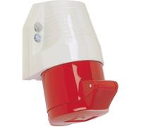 Walther-Werke Prise murale CEE femelle 110 – 16 A 5 pôles 400 V – 1 pc