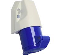 Walther Werke 110306 110306 Prise murale femelle CEE 16 A 3 pôles 230 V 1 pc(s)