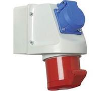 Walther Werke 114 114 Prise murale femelle CEE 16 A 5 pôles 400 V 1 pc(s)