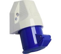 Walther Werke 130306 130306 Prise murale femelle CEE 32 A 3 pôles 230 V 1 pc(s)