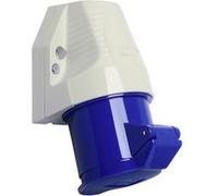 Walther Werke 130306 130306 Prise murale femelle CEE 32 A 3 pôles 230 V 1 pc(s)