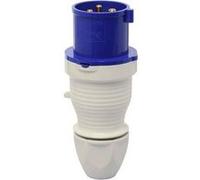 Walther Werke 230306 230306 Mâle CEE 32 A 3 pôles 230 V 1 pc(s)