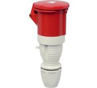 Walther-Werke Embrayage 362 Femelle CEE 63 A 5 pôles 400 V