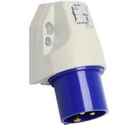Walther Werke 610306 610306 Prise murale mâle CEE 16 A 3 pôles 230 V G