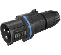 Walther Werke FW211306CC FW211306CC Mâle CEE 16 A 3 pôles 250 V 1 pc(s)