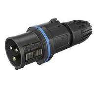 Walther-Werke Fiche CEE mâle FW211306CC 16 A 3 pôles 250 V 1 pièce
