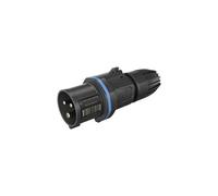 Walther Werke FW211306SK FW211306SK Mâle CEE 16 A 3 pôles 250 V