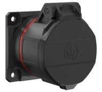 Walther Werke FW410506SK FW410506SK Prise femelle CEE 16 A 5 pôles 400 V 1 pc(s)