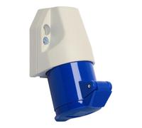 Walther Werke 110306 110306 Prise murale femelle CEE 16 A 3 pôles 230 V 1 pc(s)