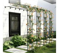 wanghaiyanBD Arche à roses en métal - Arche de jardin demi-face pour plantes grimpantes, facile à assembler, pergola ronde, idéale pour la décoration de pelouse intérieure ou extérieure