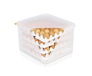 WAS 8623 120 Boîte à œufs en polypropylène HACCP 35,4 cm x 32,5 cm x 20 cm