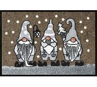 wash + dry Tapis de Sol, Winterzwerge Taupe 40x60cm, intérieur et extérieur, Lavable