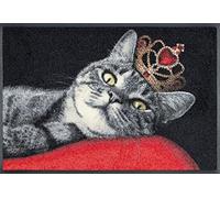 Wash+Dry Tapis, Surface en Polyamide, Coloré, 50 x 75 cm