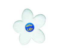 Boite de 6 absorbants résidus gras WATER LILY pour piscine