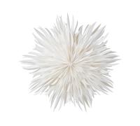 Watt & Veke Etoile de Noël Eldig Ø70 cm Blanc