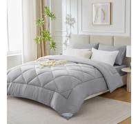 WAVVE Couette Hiver 450GSM en Microfibre, Édredon Lit 2 Personnes 240x260 cm, Edredon Toutes Les Saisons pour Lit 160x200/180x200/200x200, Grand Chaud Épais Garnissage 450g/m², 260x240 Gris Clair