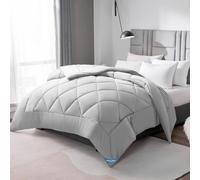 WAVVE Couette Tempérée 300GSM en Microfibre, Édredon Lit 2 Personnes 200x200 cm pour Lit 90x190/140x190, Chaud Épais Garnissage 300g/m², 200 x 200 Gris Clair