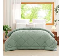 WAVVE Couette Tempérée 300GSM en Microfibre, Édredon Lit 2 Personnes 220x240 cm pour Lit 140x190/160x200, Grand Chaud Épais Garnissage 300g/m², 240x220 Vert
