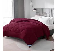 WAVVE Couette Tempérée 300GSM en Microfibre, Édredon Lit 2 Personnes 240x260 cm pour Lit 160x200/180x200/200x200, Grand Chaud Épais Garnissage 300g/m², 260x240 Rouge