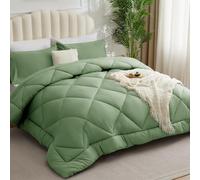 WAVVE Couette Tempérée 300GSM en Microfibre, Édredon Lit 2 Personnes 240x260 cm pour Lit 160x200/180x200/200x200, Grand Chaud Épais Garnissage 300g/m², 260x240 Vert