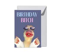 WBdesignz Carte d'anniversaire amusante « Birthday Bitch » - Carte glamour et coquine pour meilleures amies et amis - Meme Style - Pour femme, fête, plaisir et humour (XXL DIN A6, Birthday Bitch)
