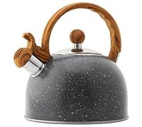 Webao Bouilloire Sifflante INOX pour Cuisinières en Acier Inoxydable 2,5 litres Bouilloire Théière avec Poignée ergonomique, Gris Étoile
