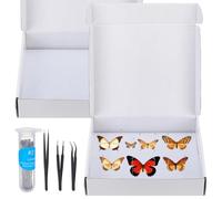 WEBEEDY 2 Sets de Kit d'Épinglage d'Insectes avec Épingles Brucelles Planche en Mousse EVA Boîte à Spécimen pour Entomologie Fabrication Collections Affichage d'Insectes, 30x26x6 cm