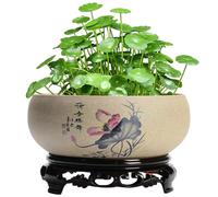 Wedhapy Lotus Bowl Planter Bowl Planter 6.5x2.6 Style Chinois Motif Lotus Hydroponique avec Base en Plastique Pot de Plante Exquis et Rustique sans Drain pour