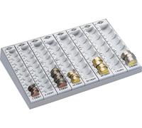 WEDO Zählbrett mit 8 losen Münzrillen, lichtgrau - für den Markt: D - A - L - F (160 780037)