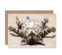 Wee Blue Coo Greeting Supine Cute Sleeping Kitten Cat Gift Sealed Greeting Card Plus Envelope Blank inside Mignonne Cadeau