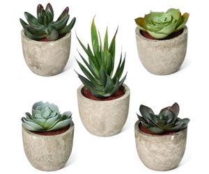WEFHEF 5 Pcs Mini Plantes Succulente Artificielles, Plante Grasse Plastique Intérieur, Petite Plante Artificielle à 5 Motifs, Plantes Grasse Artificielles Moderne, pour Décoration Bureau Maison Jardin