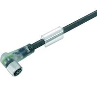 Weidmuller - Connexion sail-m8bw-4l10u