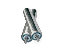 WEKONUMEX Rouleau de convoyeur, Rouleaux de convoyeur (Lot de 2), argentés, diamètre 38 mm, Plusieurs Tailles Disponibles(L 100mm)