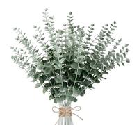 Wekuw Artificiel Plantes Feuilles Eucalyptus Artificielles Interieur Decoration Maison Branche Plante Verte Feuille Artificielle Deco pour Les Mariages (30 Feuilles Eucalyptus Artificiel)
