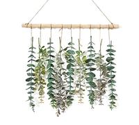 Weldomcor Plante Artificielle Branches Faux Eucalyptus Suspension Murale Feuilles Simulation Vert Feuilles D'eucalyptus Branches pour Célébration, Cuisine, Jardin, Bureau (B)