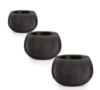 WELL HOME MOBILIARIO & DECORACIÓN Lot de 3 Pots en Plastique Prosperplast Beton Bowl avec réservoir de Couleur, Taille M, Ciment Noir, M