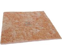 Weller Filtre pour poussières fines (L x l x H) 270 x 270 x 5 mm 10 pièces 10 pc(s)