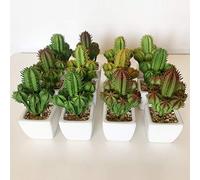 Wellhome Lot de 12 Cactus cardon Assortis artificiels avec Pot en céramique, Lot de 6 St022, 17 x 8 x 8 cm