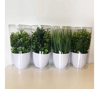 Wellhome Lot de 12 Plantes artificielles Assorties 23 cm avec Pot 13 x 7 x 7 cm