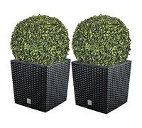 WellHome Lot de 2 Pots de Fleurs Rato 32 l avec Support pour Plantation, Anthracite 32 x 32 x 32,5 cm + Boule de buis