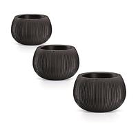 Wellhome Prosperplast Beton Bowl Lot de 3 Pots de Fleurs en Plastique avec réservoir en Couleur Ciment Noir Taille L