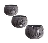 Wellhome Prosperplast Bowl Lot de 3 Pots de Fleurs en Plastique avec réservoir Anthracite Taille L