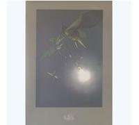 WENDLING - Lumière - Signé - 50x70cm AFFICHE / POSTER G